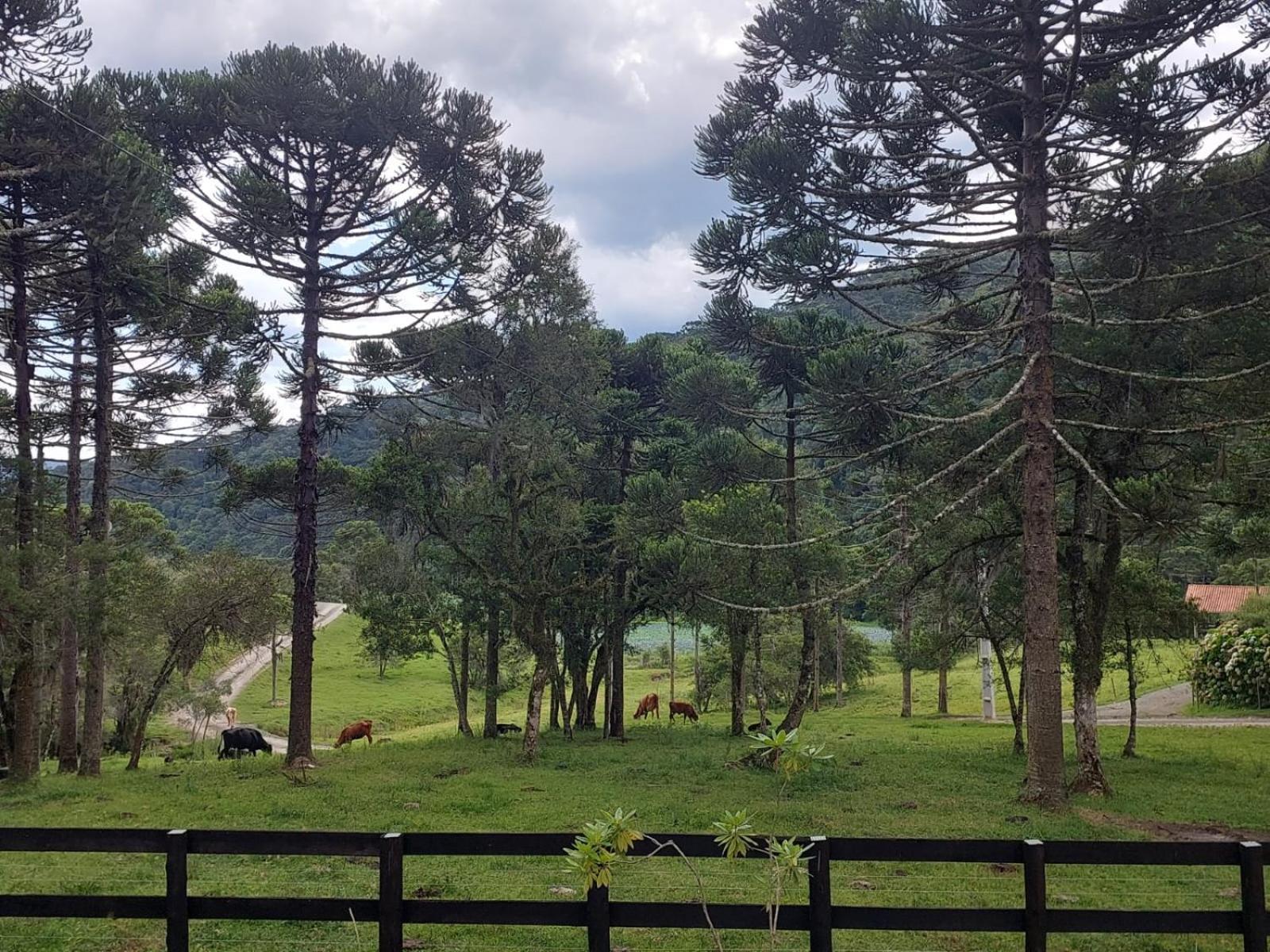 Cabanas Mozzafiato Urubici Dış mekan fotoğraf